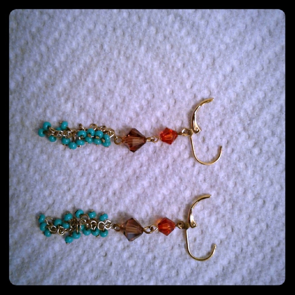 Varied Color Earrings